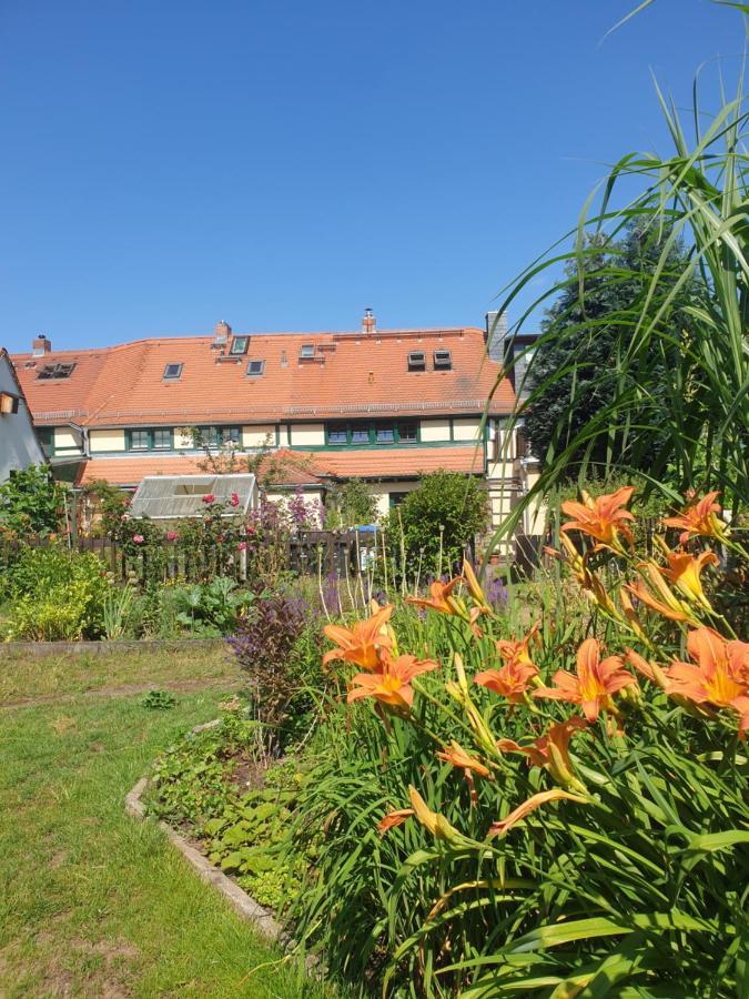 Denkmal-ferienhaus In Dresden-hellerau Mit Sauna Und Kamin * Dresden